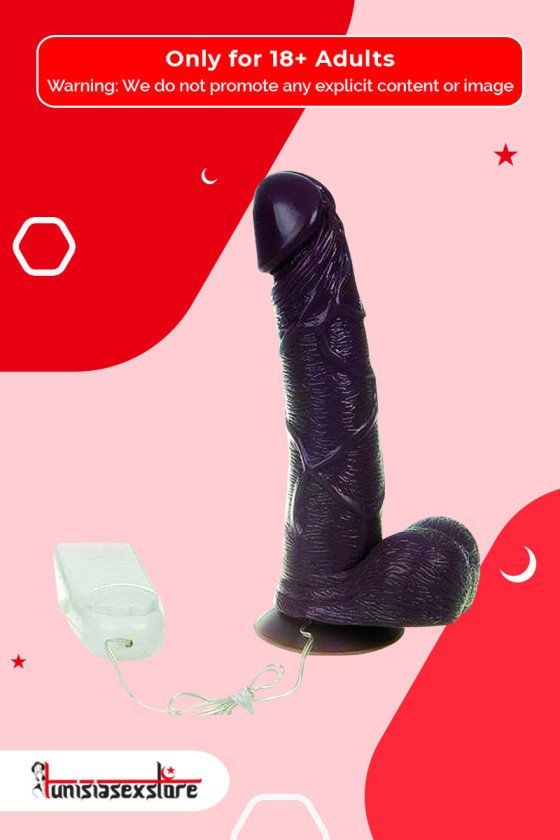 Mr. Realistic Vibrator V1 RSV-026