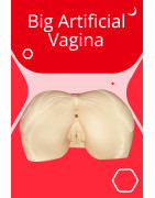 Big Artificial Vagina